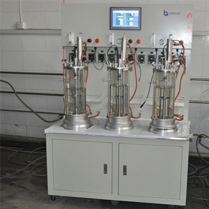 7l Triple Off-site Sterilization Magnetic Stirring Glass Fermenter